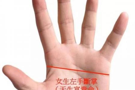 八字从哪开始断掌的命格 八字命格的断掌起始点