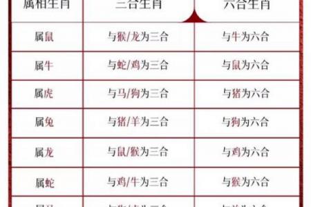23年属龙和属蛇相配吗_2023年属龙与属蛇的配对情况