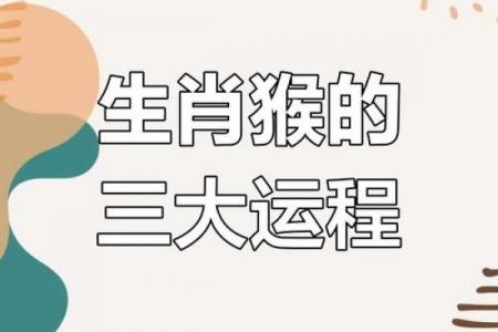 02属马04属猴相配 马与猴的配对关系与运势